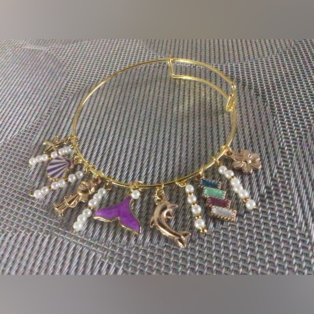 ✨ Charm braclet ✨